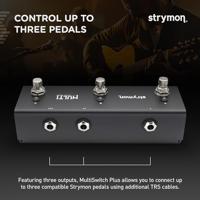 Strymon MultiSwitch Plus voor Sunset, Riverside en Volante - thumbnail
