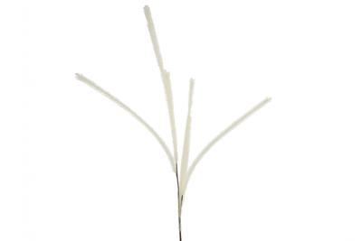 Countryfield kunsttak met 6 pluimen crème 112 cm | 24 stuks