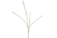Countryfield kunsttak met 6 pluimen crème 112 cm | 24 stuks - thumbnail