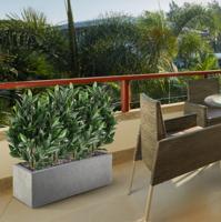 Laurier Kunstplant 50cm UV - thumbnail