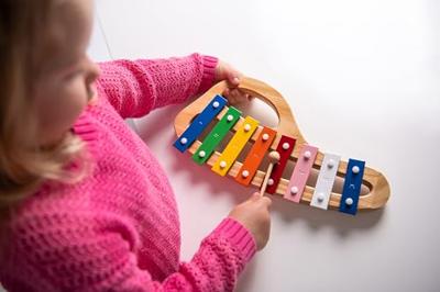 Boogie Bee Metallophone wood met 8 noten