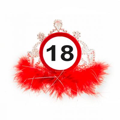 18 jaar verkeersbord tiara
