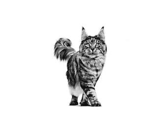 Royal Canin Cat Diabetic Dry 3,5kg - thumbnail