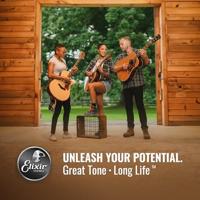 Elixir Strings 11150 snaar voor muziekinstrumenten Gitaar Akoestisch 12 stuk(s) - thumbnail