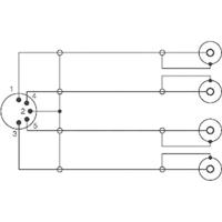 SpeaKa Professional SP-7870300 Cinch / DIN-aansluiting Audio Y-adapter [1x Diodestekker 5-polig (DIN) - 4x Cinch-koppeling] Zwart - thumbnail