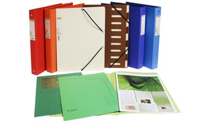 Exacompta L-map met venster Forever, pak van 100 stuks, lichtgroen