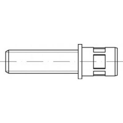 TOOLCRAFT TO-5444217 Open popnagel M6 Staal 100 stuk(s)