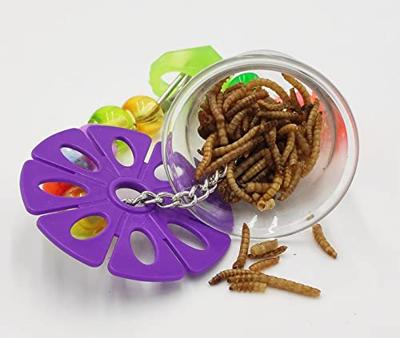 PETLALA SINGLE FORAGING CUP
