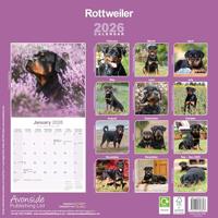 Rottweiler Kalender 2026 - thumbnail