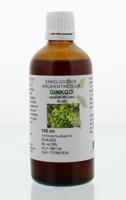 Cruydhof Ginkgo biloba folia tinctuur 100 Milliliter - thumbnail