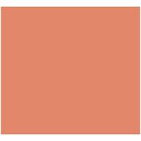 Fiches Iris Koraal 50 x 65 cm - thumbnail