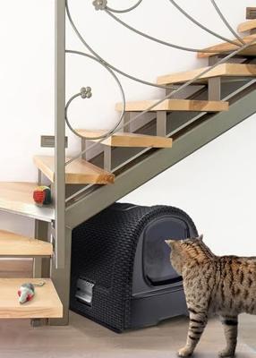 Kattenbak Curver Antraciet 51 x 38,5 x 39,5 cm Plastic (Plastic) - thumbnail