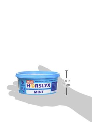 Horslyx Mini Mint - thumbnail
