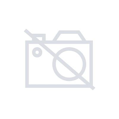 TOOLCRAFT Klemband Trekkracht (lc) vastbinden (enkel/direct)=125 daN (l x b) 5 m x 25 mm Klemslot