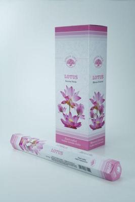 Green Tree Wierook lotus 20 Stuks