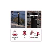 Paulmann Staande solar lampRyse met sensor - 94249 - thumbnail