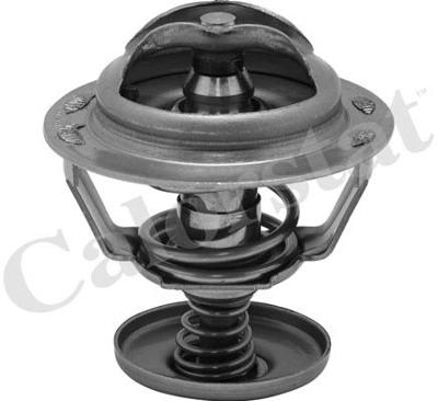 Thermostaat, koelvloeistof TH683882J