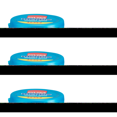 Mentos kauwgom mighty mint xl (6x 100 stuks)