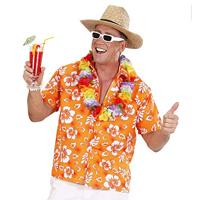 Strohoed Texas met band - thumbnail