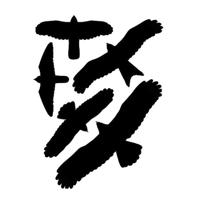 BSI Vogel afweerstickers 5 stuks 14-27cm - thumbnail