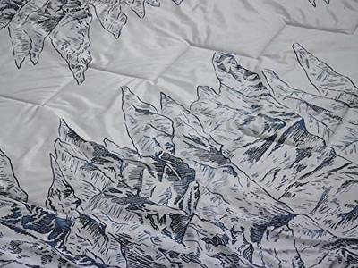 Therm-A-Rest Argo Deken Valley View Print