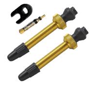 Barbieri tubeless valve aluminium sv 45mm gold 2 pieces - thumbnail