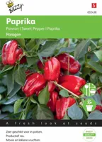 Zaden Paprika Snack Patio - rood - Paragon Buzzy - Buzzy - thumbnail