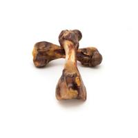 Bot Gloria Ham Bot - thumbnail