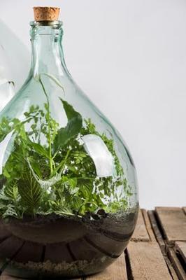 Esschert Design plant terrarium potgrond