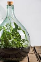 Esschert Design plant terrarium potgrond - thumbnail