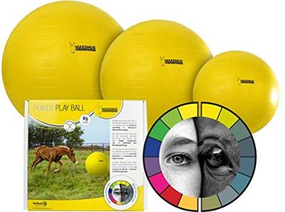 Maximus Power Play Ball 75cm