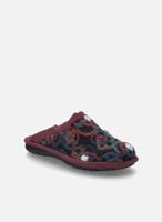 Westland LILLE 07 - alle - thumbnail