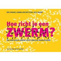Hoe richt je een zwerm? (Paperback) - thumbnail
