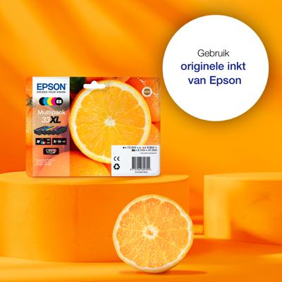 Epson Inktcartridge 33 Origineel Foto zwart C 13 T 33414012