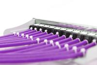 ASSMANN Electronic DK-1614-VH-305 netwerkkabel 305 m Cat6 U/UTP (UTP) Paars - thumbnail