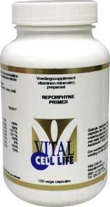 Vital Cell Life Reporphyne primer 120 Capsules Vital Cell Life Reporphyne primer 120 Capsules