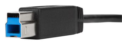 Targus 0.15M USB-C naar USB-A 5 Gbps adapterkabel, zwart (ACC923USX) USB-C naar USB-B Zwart