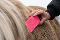 Excellent Horse Grooming Brush Large zwart - thumbnail