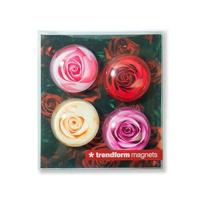 Trendform Magnet Eye - Roze - set van 4 verschillende - thumbnail