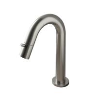 Fonteinkraan Hotbath Cobber 1-knop gebogen 19.3 cm Rond Geborsteld Nikkel - thumbnail