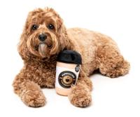 Fuzzyard barkrista puppuccino pluche - thumbnail