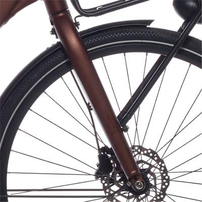 Cortina voorvork common family db nutmeg matt