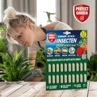 Sanium Stick Kamerplanten 20st - thumbnail