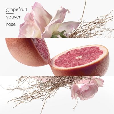 Hermès - Hermes Concentre De Pamplemousse Rose Eau de toilette Spray 100 ml Dames