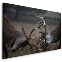 Schilderij - Vechtende Herten, 5 maten, Premium Print - thumbnail