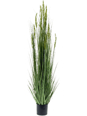 Emerald kunstplant graangras 150 cm