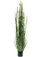 Emerald kunstplant graangras 150 cm - thumbnail