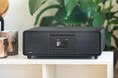 Pinell Supersound 701 Hybride radio Zwart