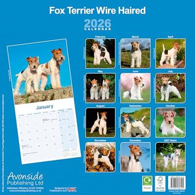 Fox Terrier Ruwhaar Kalender 2026 Fox Terrier Ruwhaar Kalender 2026