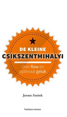 De kleine Csikszentmihalyi - Jeroen Ansink - eBook (9789047011996)